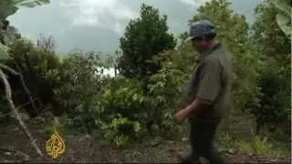 'Mother Earth' law to protect Bolivia forests