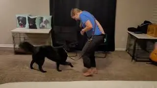 Back Pedaling