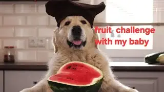 Fruit fun challenge with my doggu. Fruit challenge/fun video/cutedog/funnyreaction /Funnymoment /yt