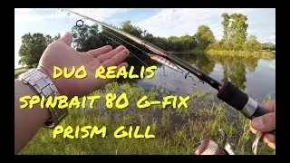 Spybaiting with Duo Realis Spinbait 80 G-Fix Spybait
