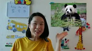 LingoBus Self-introduction video