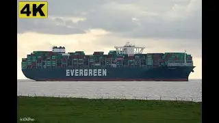 EVER GREET - Shipspotting Germany 🇩🇪 IMO 9832729 - River Elbe near City Otterndorf - 4K VIDEO