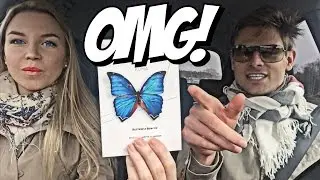 #31 Влог! Дикий день ВМЕСТЕ! Перехват курьера! Бабочки везде! Купите тапки!