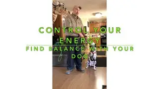 Control Your Energy and Speak to Your Dog