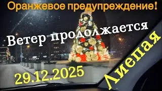 Последствия после урагана.Ветер продолжается со снегом.Смотрим стоят ли Ёлки 🎄29.12.2025. #Vlog
