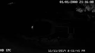 St Paul MO Meteor 11-11-19