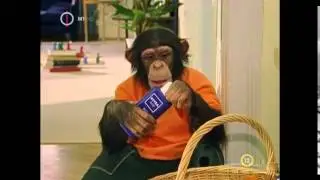 Unser Charly, Charly, majom a családban S07E01