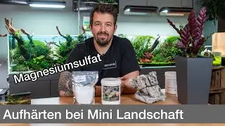 Osmosewasser richtig aufsalzen bei Mini Landschaft! | Liquid Nature