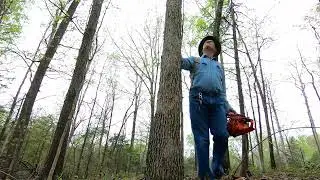 Traditional Kentucky Basketcraft #1
