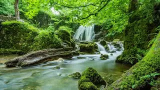 8 Hrs of rain sounds to sleep to with 432 Hz healing music to calm your mind