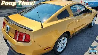360 MUSTANG 5-SPEED