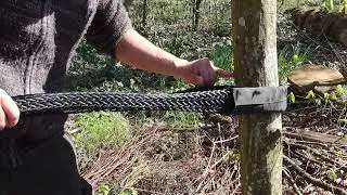 ARBORISTES &Eacute;LAGUEURS Haubanage 3 COBRA - CFA CFPPA Tours Fondettes agrocampus