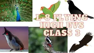 L 8 Flying High class 3 EVS NCERT KV