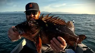 Fishing for Lingcod, Catching Rockfish and Trapping Dungeness Crabs in the PNW