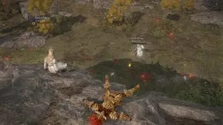 ELDEN RING: This is why you never interrupt a fight club.