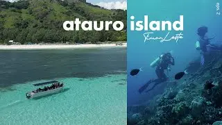 scuba diving pertama di pulau atauro, timor leste | happy bubbles 🤿