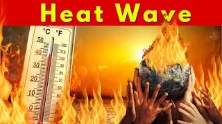 Survive the Heat Wave: Essential Summer Safety Tips!