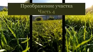ОБЛАГОРАЖИВАНИЕ УЧАСТКА | ПОСАДКА ГАЗОНА | ГАЗОН СВОИМИ РУКАМИ | The POSE Family