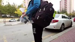 Naik Bis