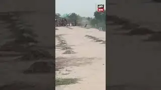 #arynews #floodinpunjab #floodupdate #floodalert #flood #punjab #sialkot #lahore #shorts #ytshorts