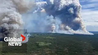 Eco-friendly, plant-based, edible gel could help Canada fight wildfires