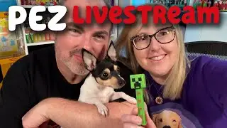 PEZ Livestream &ndash; New Releases, Unboxings, Updates, and Chat!