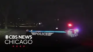 Police investigate double homicide in Matteson, Illinois