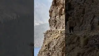 Phoksundo Lake Nepal 🇳🇵 #lake #nature #sheyphoksundo #dolpa #karnali #visitnepal #viralvideo