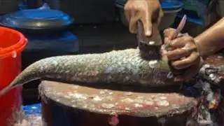 Real Fish Blogger // 