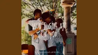 Won't Give Up On You (feat. JAY WOODS)
