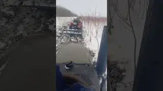 2 февраля 2026 г.