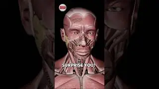 ШОКИРУЮЩЕЕ решение боли в шее и верхней части спины!