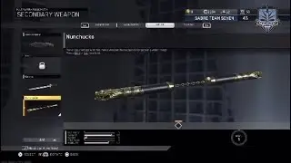 NUNCHUCKS *