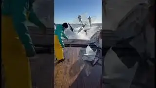 Mutant Flying Fish with Translucent Wings Flood the Stern Deck! 😱