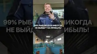99% фермеров не зарабатывают на рыбе. Вот почему! #узв #рыба #бизнес #прибыль #разведениерыбы