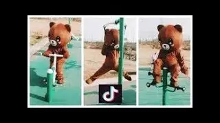 [tik tok china]一番 可愛い 熊🐻 くん だよー Funny Brown Bear Video/ tnot to laugh