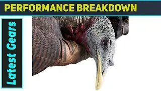 AVIAN-X LCD Feeder Hen Decoy: The Ultimate Gobbler Magnet!