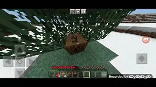 jogando Minecraft ( a revolta dos ursos polares)🐻&zwj;❄️🐻&zwj;❄️🐻&zwj;❄️