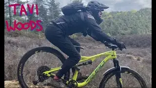 Tavi Woodlands DH tracks. Anything left to ride at this once legendary venue?