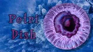 #716 Petri Dish Effekt 💖💜✨️ Resin 💖💜✨️