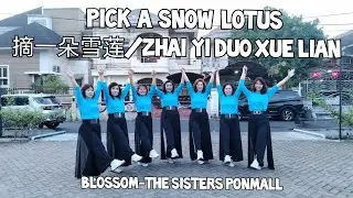 Pick A Snow Lotus/摘一朵雪莲/ZhaiYiDuoXueLian-LD||Choreo : Heru Tian||Improver||Blossom-TheSistersPonmall