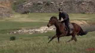 Horse Riding in the Countryside