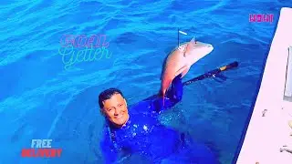 Spearfishing With Ese Loco | Belize Caye Caulker
