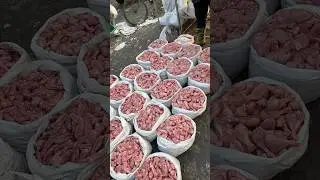 Ghazipur Murga Mandi Delhi #shortvideo #chicken #rrrm