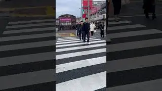 Crossing the Road in Japan: A Scientific Study