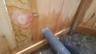 Picture framed fence