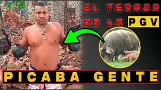 FRANKLIN MASACRE el PRAN mas PELIGROSO de la PGV (DOCUMENTAL)