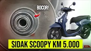 Sidak Honda Scoopy 2025 KM 5.000: CVT Kotor dan Gejala Bocor Mulai Muncul