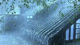 Cure Sleep Difficulties with the Sound of Heavy Rain and Powerful Thunder on the Metal Roof at Night