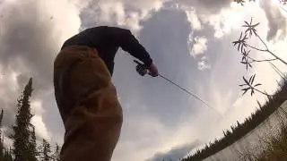 Backcountry Kings :: An afternoon in trout country